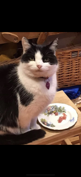 Expressions of noble disappointment please