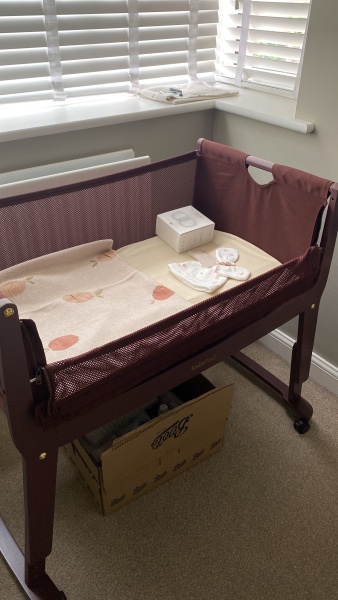 September 2024 - Thread 7! 🐣🧡💛❤️