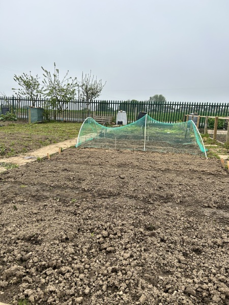 The Vegetable Patch 2024/2025