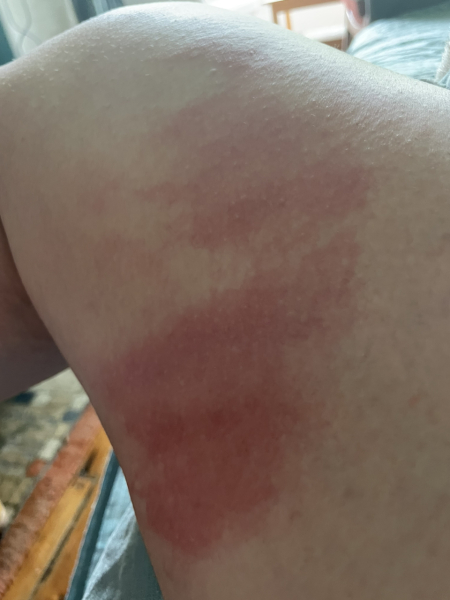 Week 1 - May '24 Low Carb Bootcamp.  And off we go!