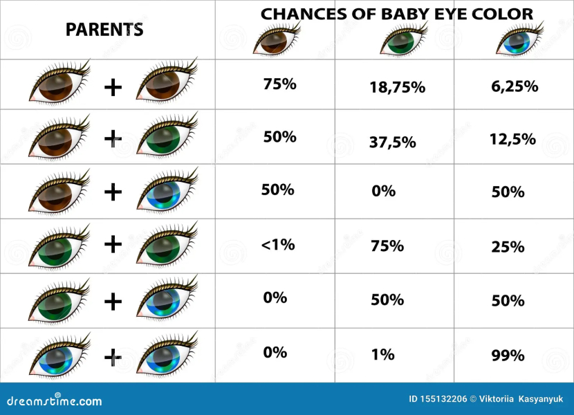 2 green eyed parents, brown eyed child