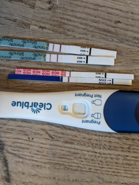 Do strong people ovulation test cause evap lines?