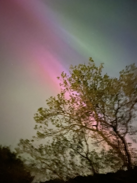 Did you see The Northern Lights (uk) any pictures?
