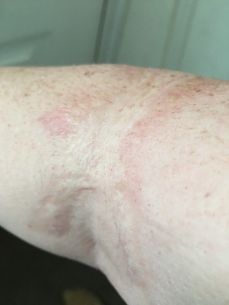 Week 2 - May '24 Low Carb Bootcamp - my favourite week!