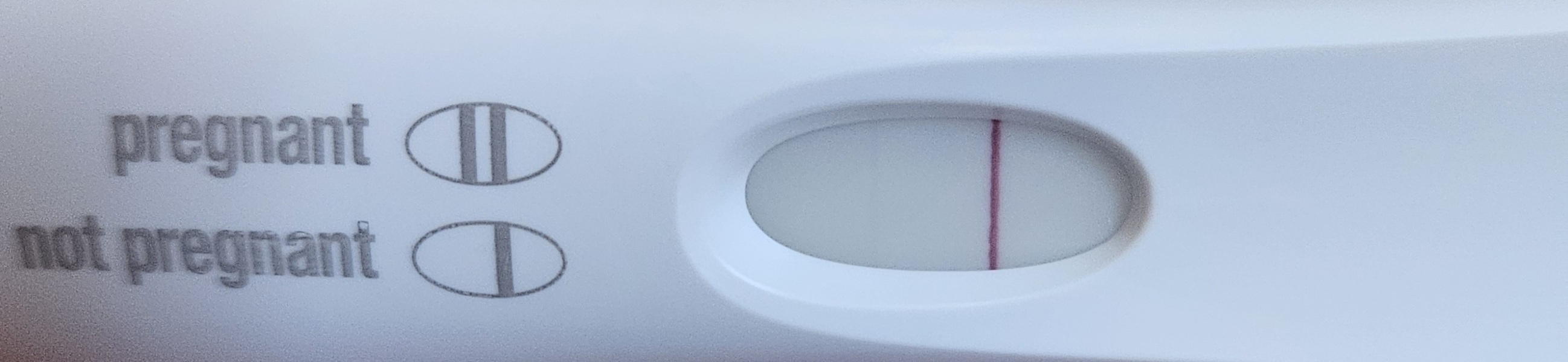 pregnancy test