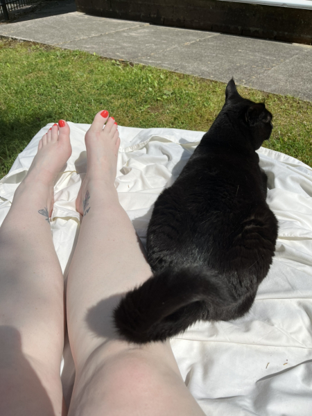 Does anyone enjoy sitting in the garden rather than going out on hot days?