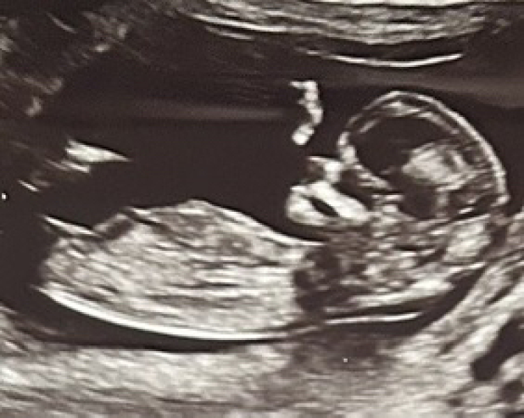 November Babies: Thread 4 (Into the Second Trimester and Beyond!)