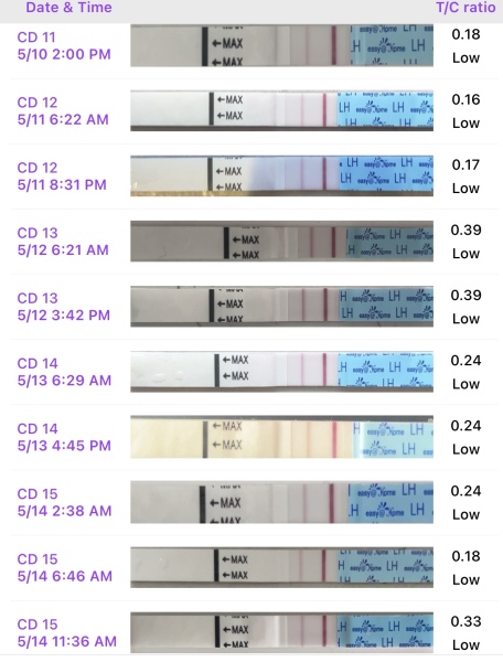 TTC after chemical pregnancy