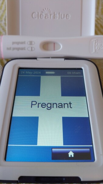 TTC February 2024 ✨