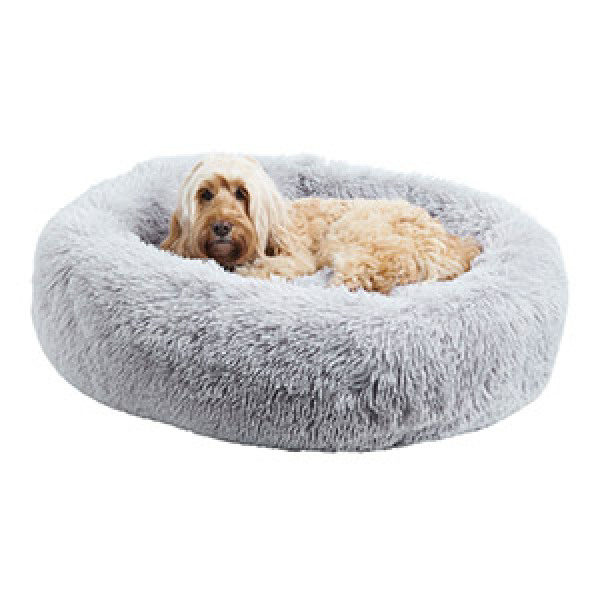 Dog mesh guard advice and travelling with puppy