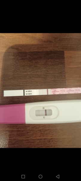 11dpo tests