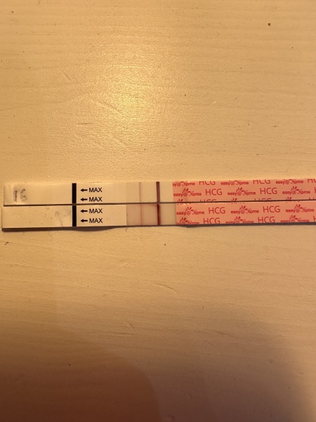 FET May 2024