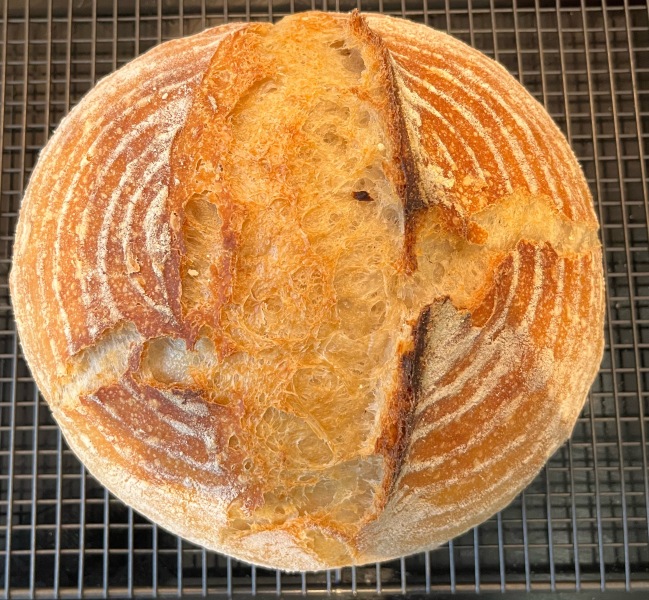 Sourdough