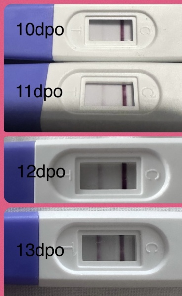 Progression lines!
