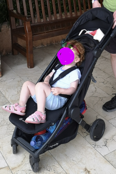 This £300 pram is too small