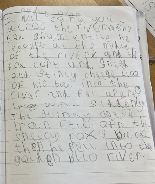 What age child wrote this ?