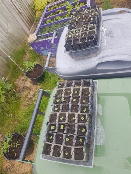making use of space