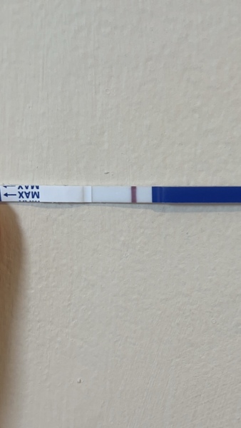 Anyone want to join for two week wait?