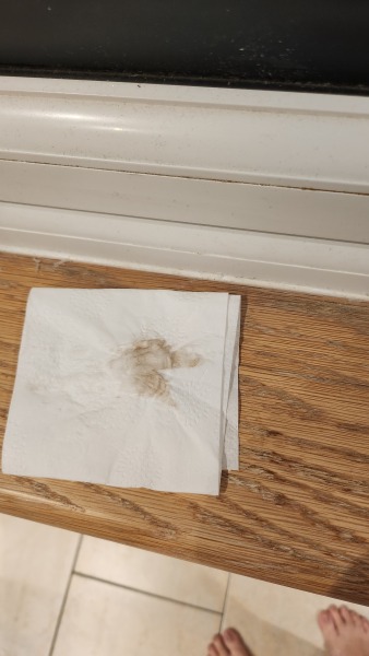 Is 5dpo too early for implantation bleeding?