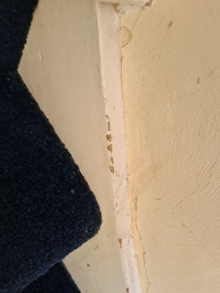 Filling in chipped paint... With what?