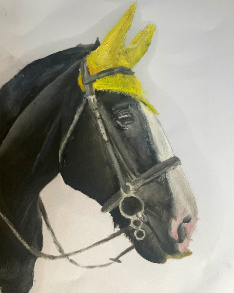 Is DD’s art work good enough to sell.