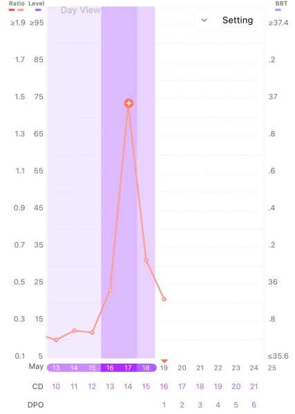 Ovulation after chemical pregnancy