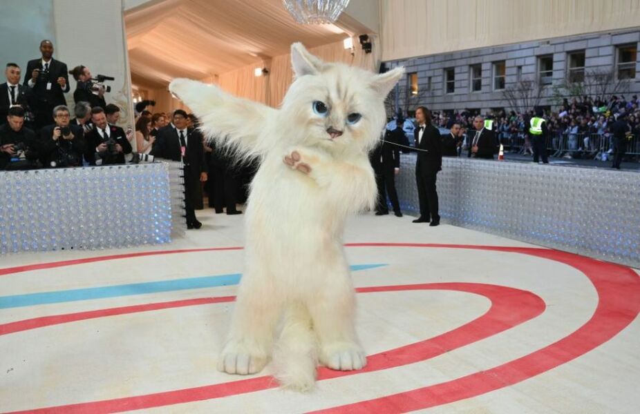 The MET Gala