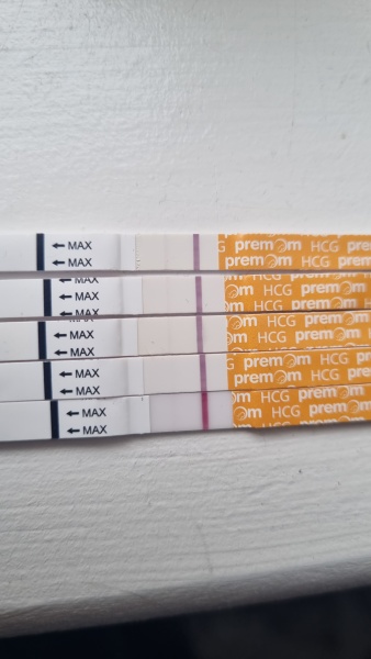 Implantation Bleeding or Chemical Pregnancy?! HELP