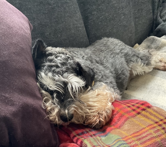 Thread 45 Sunak; Remove one letter and tell his future"