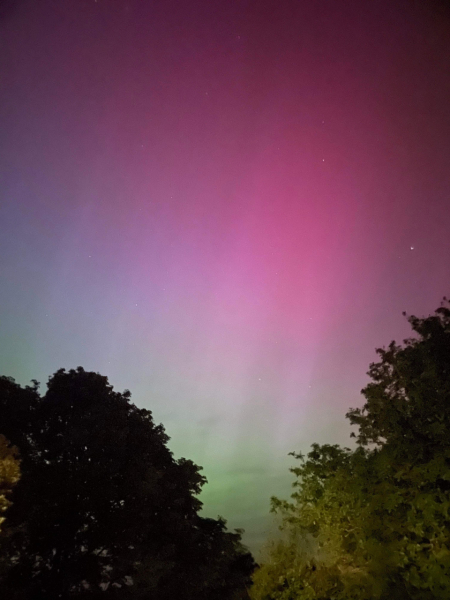 Did you see The Northern Lights (uk) any pictures?