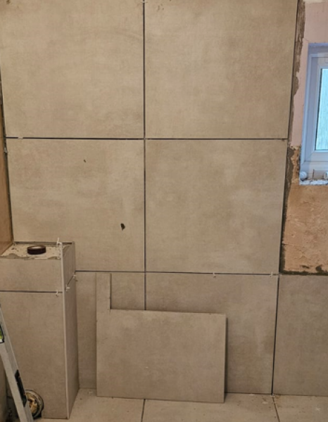 Help - advice needed