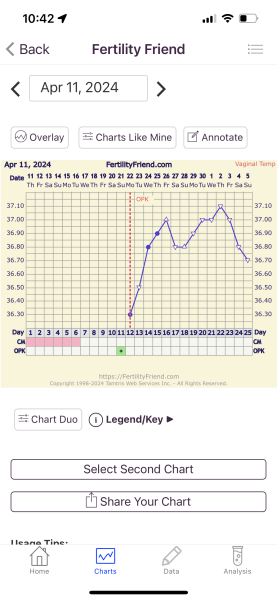 TTC after Early Miscarriage part 3