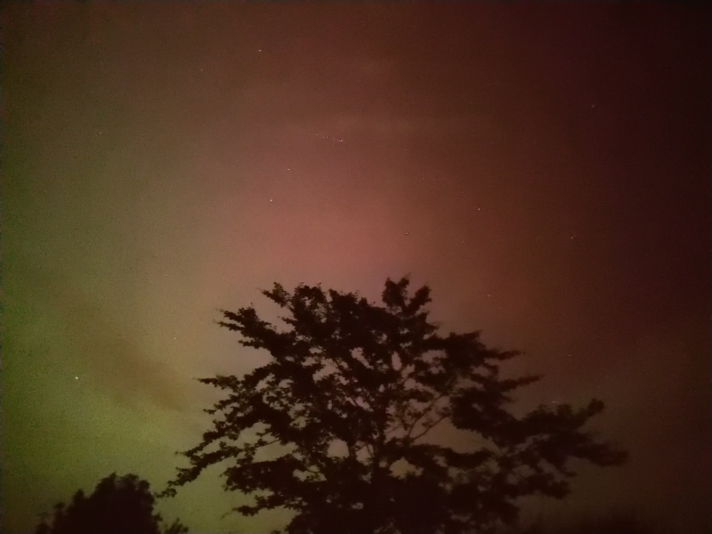 Anyone watching for Northern Lights tonight?