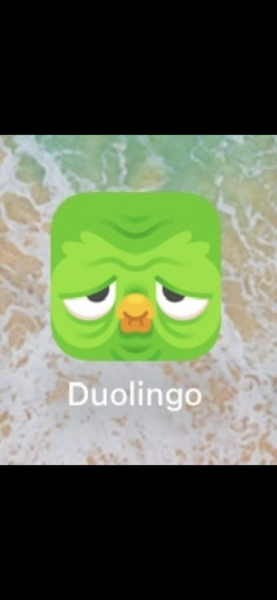 Irish (the language)