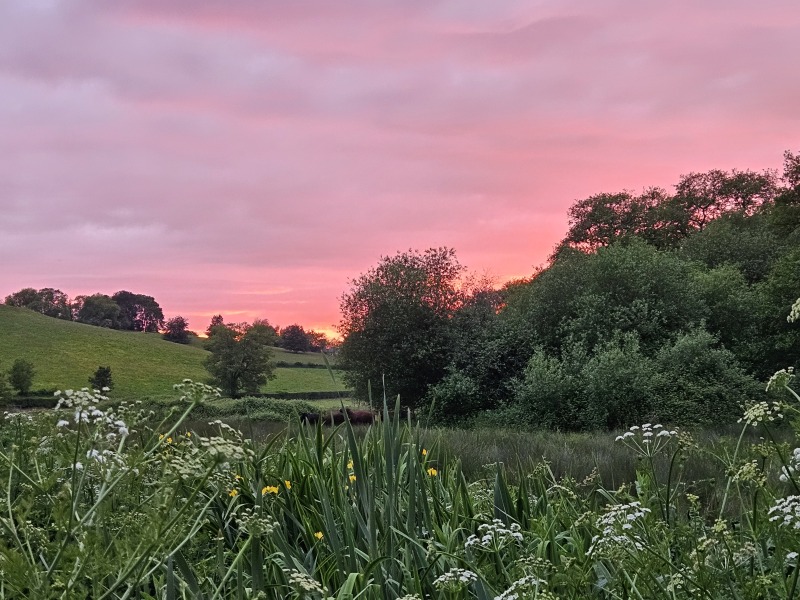 Come chat hiking with me!