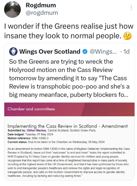 Scottish Parliament votes to accept Cass Report - Forbes made Deputy First Minister