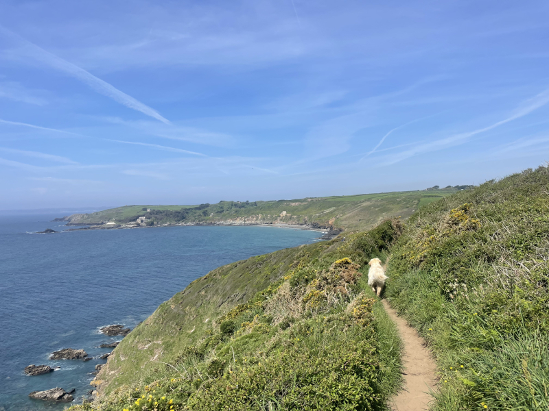 Come chat hiking with me!