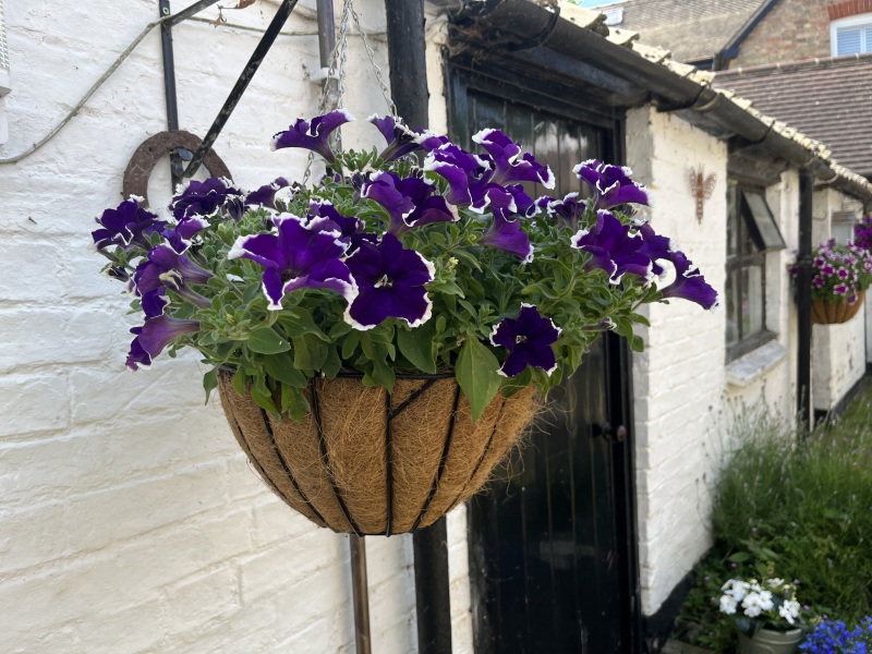 Thread 46 Sunak - don't rain on our parade