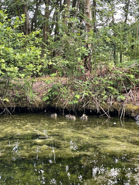 Come chat hiking with me!