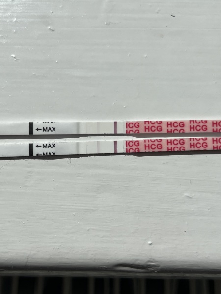 IVF/ICSI May or late April