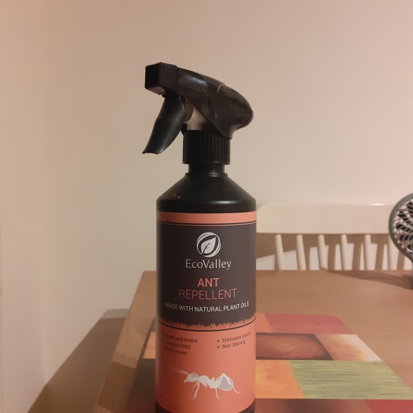 large ants in kitchen all of sudden help