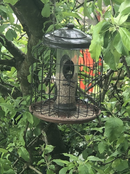 How to feed birds without the mess