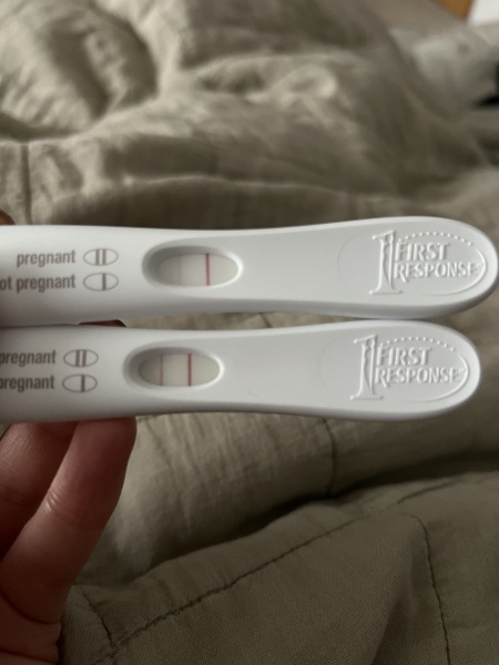 IVF/ICSI May or late April
