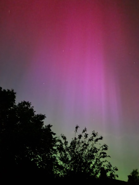 Anyone watching for Northern Lights tonight?