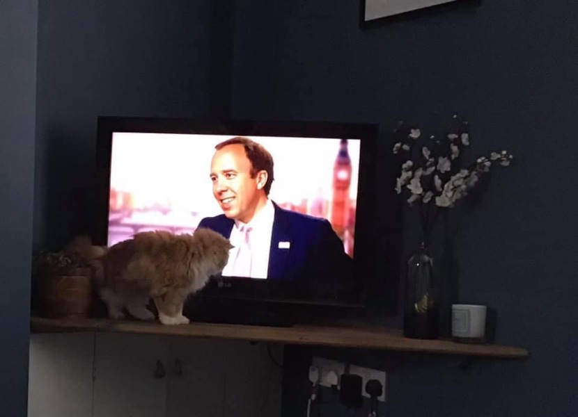 Thread 45 Sunak; Remove one letter and tell his future"