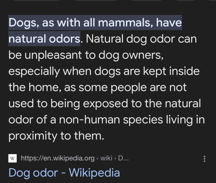 Renting with a dog and getting applications rejected