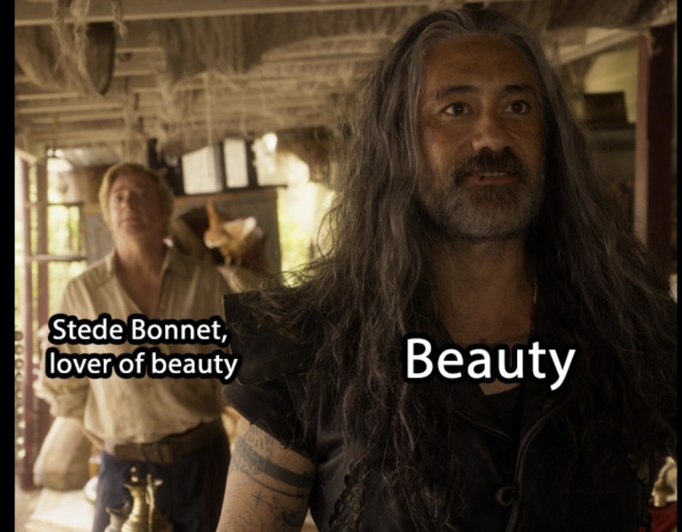 Our Flag Means Death. It's utterly brilliant and I am obsessed!