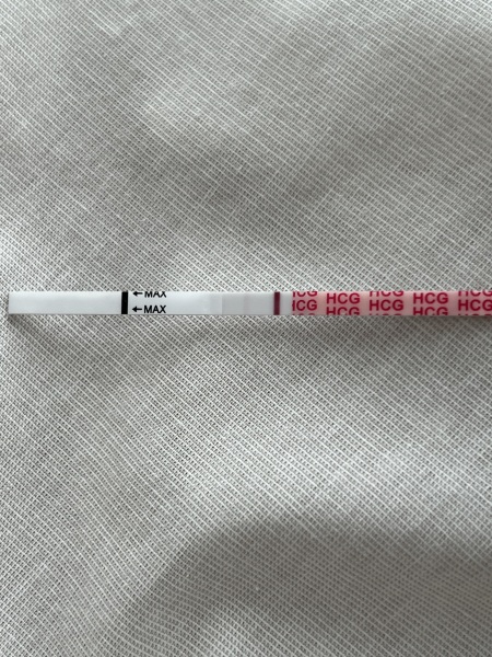 IVF/ICSI May or late April