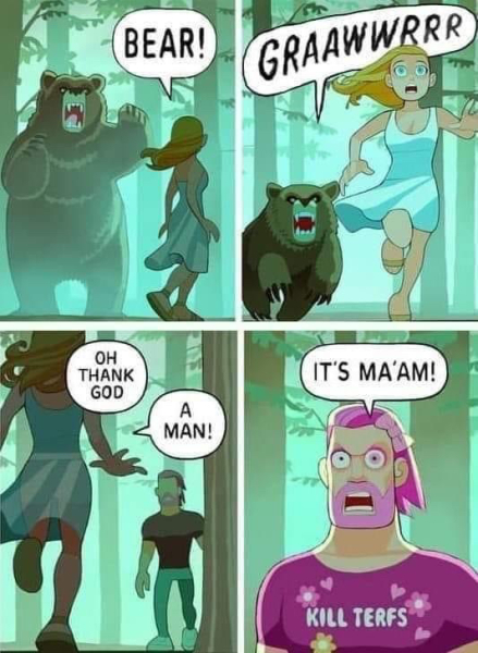 Surely I am not the only woman who would chose the man, not the bear?