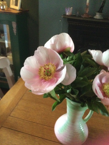 Thread 47 Sunak : The Ship of Fools sails on